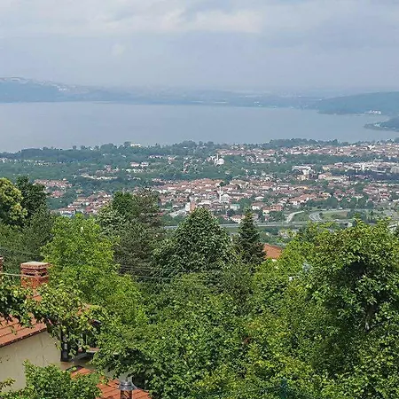 174892/1 - Atta * Sapanca